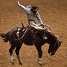 National Western Stock Show